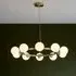 Mayetta 10 Light Glass Pendant Ceiling Light - Gold