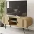Milford TV Stand with 2 Doors - Oak