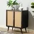 Mixco Drinks Cabinet with 2 Doors - Black, Mango Wood