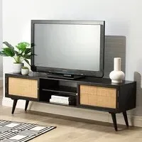 Mixco TV Stand with 2 Doors - Black, Mango Wood