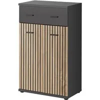 Moena 2-Door Hallway Storage Cabinet - Anthracite, Laminated Board alternate view