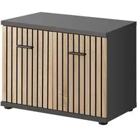 Moena Hallway Seating Bench with 2 Doors - Anthracite alternate view