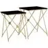 Monora Set of 2 Side Tables - Black, Glass