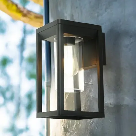 Nash Outdoor Wall Light - Black, Clear Glass