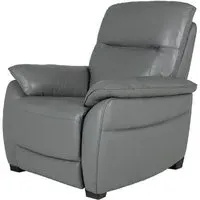 Neci Fixed Armchair - Steel, Leather