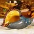 Newark Glass Big Shell Sculpture - Blue, Orange