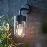 Niceville Outdoor Wall Light - Matt Black, Clear Glass