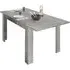 Nitro Extendable Dining Table - Cement, Wood
