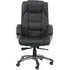 Nobbler High Back Executive Chair with Tilt - Black, Leather