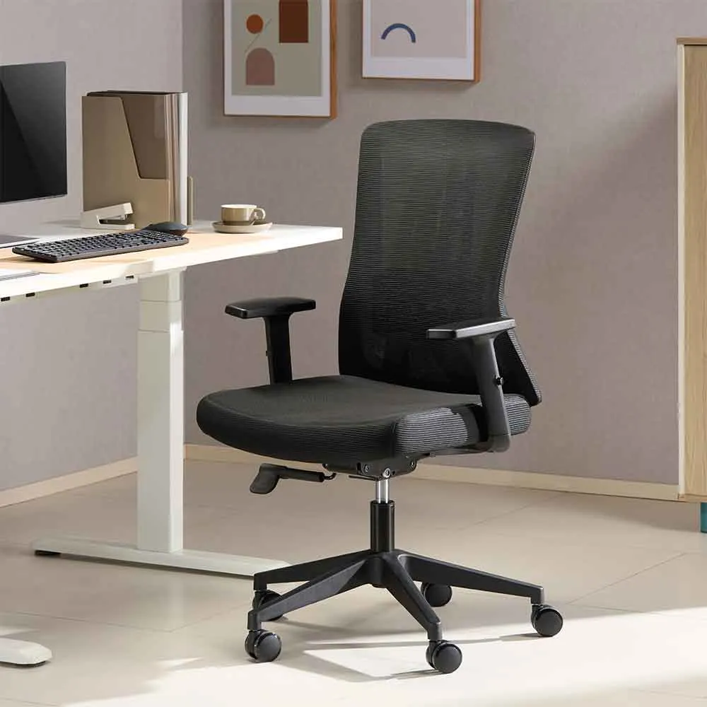 Odenton Office Chair with Lumbar Support - Black, Mesh product