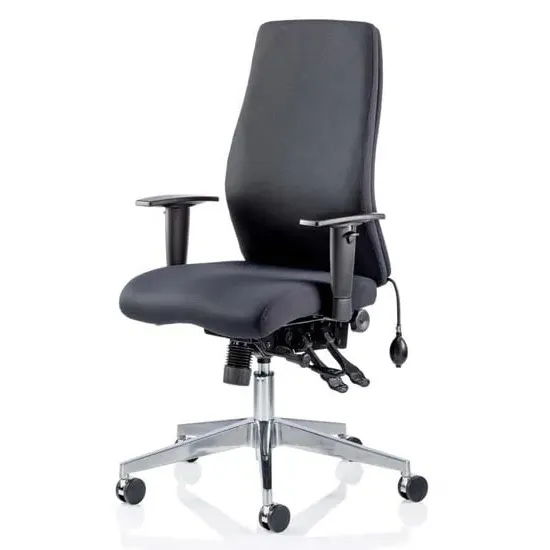 Onyx Ergo Office Chair with Arms - Black, Fabric image