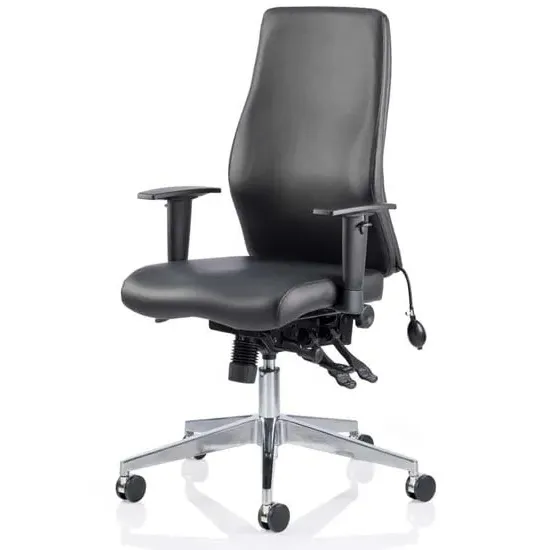 Onyx Ergo Office Chair with Arms - Black, Leather image