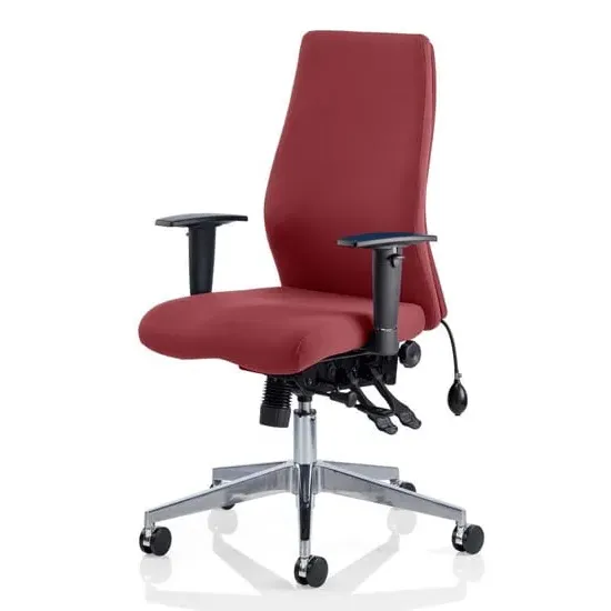 Onyx Ergo Office Chair with Arms - Ginseng Chilli, Fabric