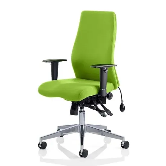 Onyx Ergo Office Chair with Arms - Myrrh Green, Fabric