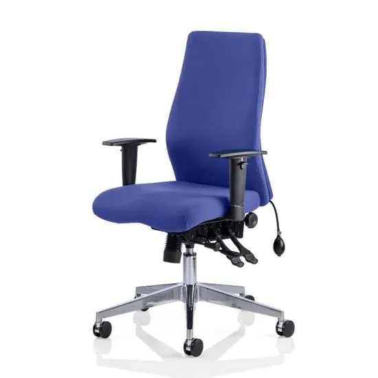 Onyx Ergo Office Chair with Arms - Stevia Blue, Fabric