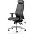 Onyx Ergo Office Chair with Headrest - Black, Leather