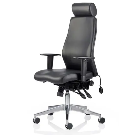 Onyx Ergo Office Chair with Headrest - Black, Leather