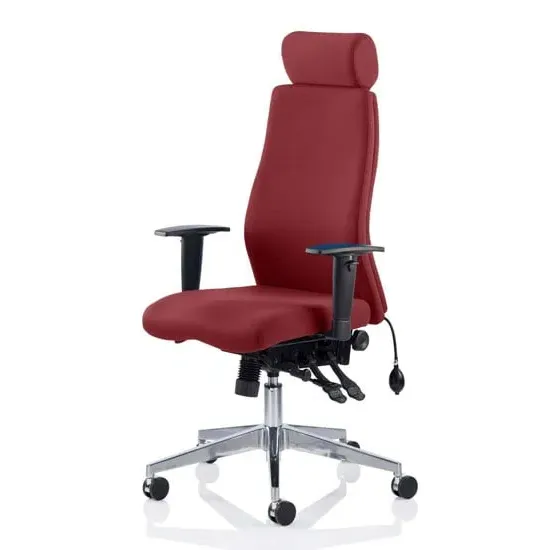 Onyx Ergo Office Chair with Headrest - Ginseng Chilli