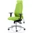 Onyx Ergo Office Chair with Headrest - Green