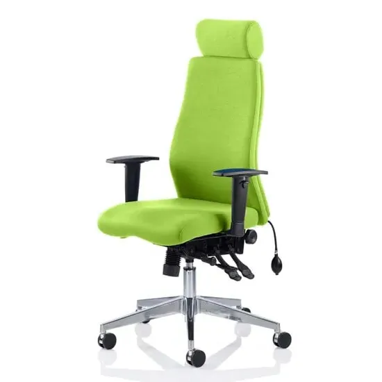 Onyx Ergo Office Chair with Headrest - Green
