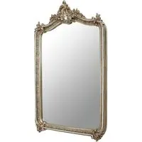 Ornatis Rectangular Wall Mirror - Champagne