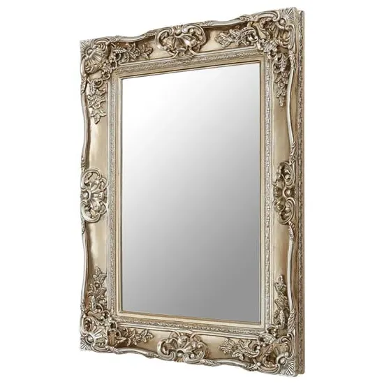 Ornatis Rectangular Wall Mirror - Champagne Gold