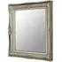 Ornatis Rectangular Wall Mirror - Champagne