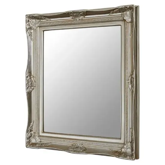 Ornatis Rectangular Wall Mirror - Champagne image