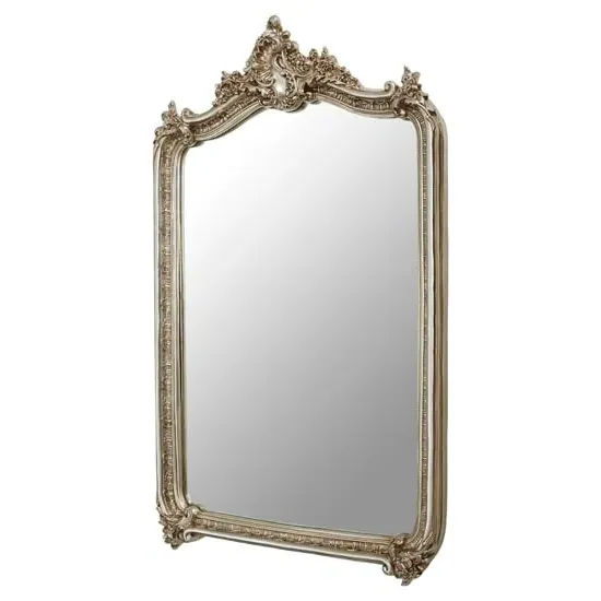 Ornatis Rectangular Wall Mirror - Champagne image
