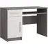 Oxnard Computer Desk with 1 Door 1 Drawer - Grey