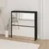 Ozark Mirrored Shoe Cabinet with 2 Flaps - Black