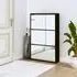 Ozark Mirrored Shoe Cabinet with 3 Flaps - Black