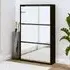 Ozark Mirrored Shoe Storage Cabinet with 3 Flip Doors - Black