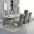 Parini Extendable Dining Set with 8 Vesta Chairs - Grey