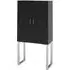 Pasico Small Storage Cabinet - Black, Faux Leather