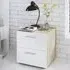 Perkin Bedside Cabinet with 2 Drawers - White Gloss, Oak