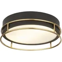 Phoenix 2 Light Flush Light - Black, Frosted Glass
