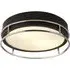 Phoenix 2 Light Flush Light - Black, Frosted Glass
