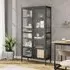 Piper Display Cabinet with 2 Doors - Black, Glass Steel