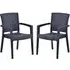 Piraeus Arm Chairs in Pair - Anthracite, Polypropylene