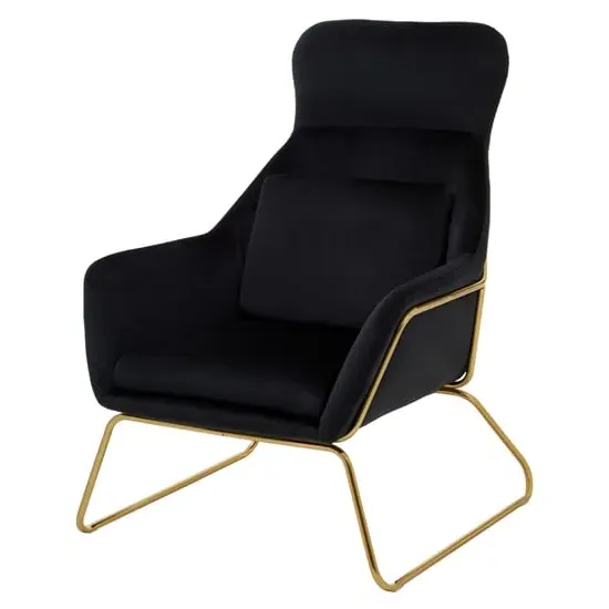 Porrima Velvet Armchair with Gold Frame - Black, Velvet image