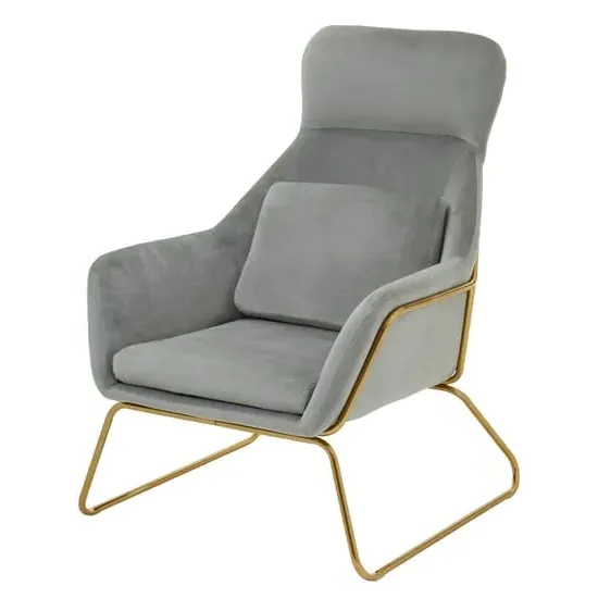 Porrima Velvet Armchair with Gold Frame - Grey, Velvet
