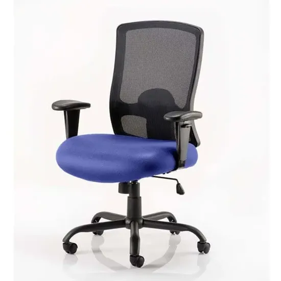Portland HD Office Chair with Lumbar Support - Blue image