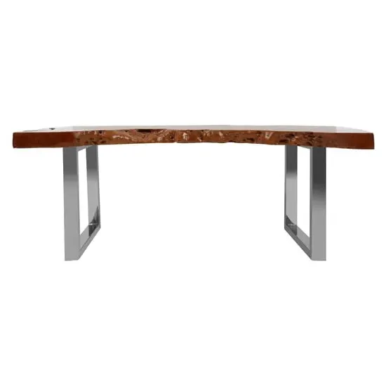 Praecipua Coffee Table with Steel Base - Brown, Longan Wood