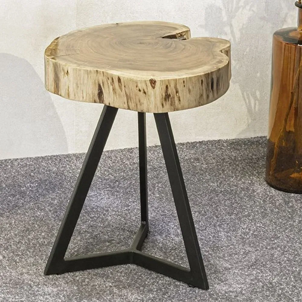 Putnam Small End Table - Black, Oak image