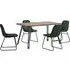 Qinson Wave Edge Dining Table with 4 Lyster Chairs - Green
