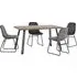 Qinson Wave Edge Dining Table with 4 Lyster Chairs - Grey