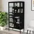 Rabia Steel Display Cabinet with Glass Doors - Black