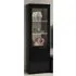 Regal Display Cabinet with LED - Black, High Gloss