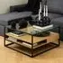 Regina Glass Top Coffee Table with Oak Shelves - Black, Oak